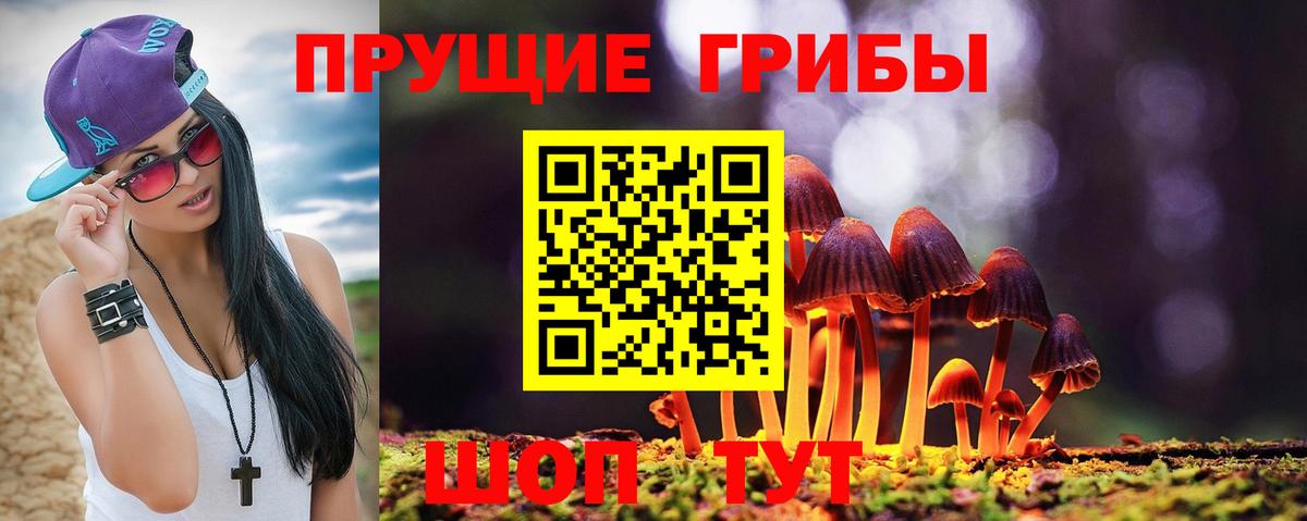 Псилоцибиновые грибы Psilocybe  Вход с VPN  Галлюциногенные грибы Psilocybe  Соликамск 